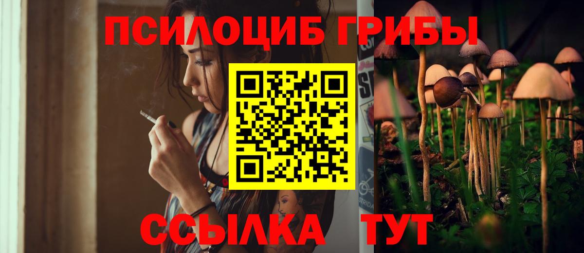 Щёкино  Галлюциногенные грибы мицелий  Вход с VPN 