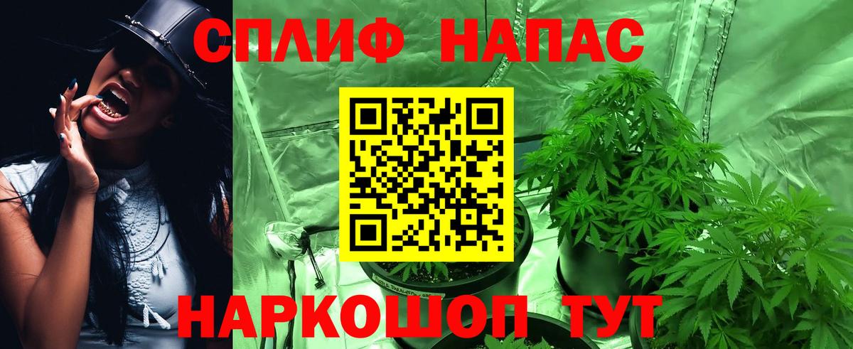 Бошки марихуана VHQ Щёкино
